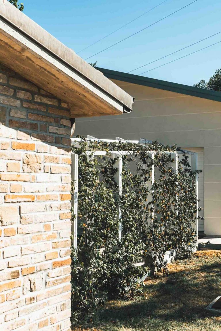 Wooden Houses_Dependance_Struttura in legno dall’aspetto contemporaneo affiancata a un edificio in mattoni preesistente
