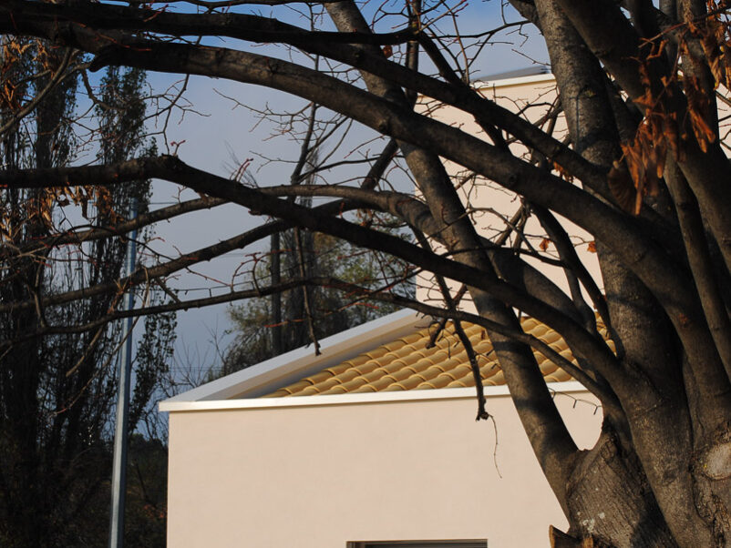 Una villa unifamiliare in legno progettata dallo Studio Ossigeno, con tanto vetro e legno non strutturale a vista.